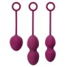 Kit Kegel bola Pompoarismo Nova