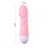 Vibrador Glande na Ponta 10 Modos de Vibração